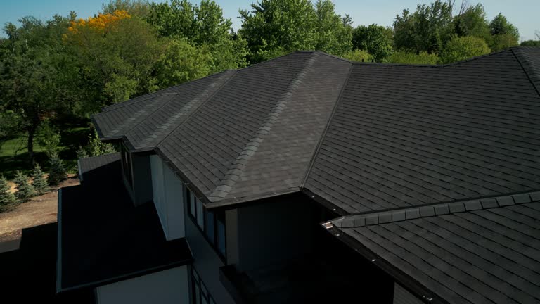 Best Roof Moss and Algae Removal  in Middletown, VA